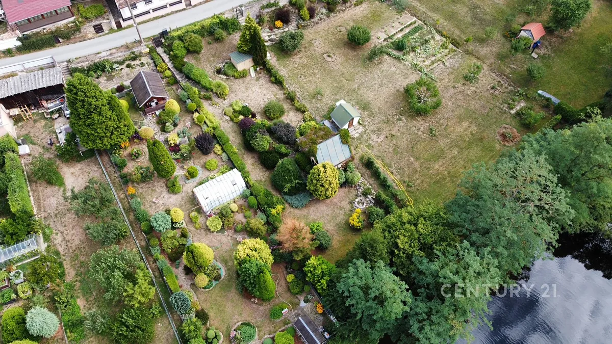 Fotka 8 z 26